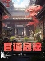 权力巅峰官道危途