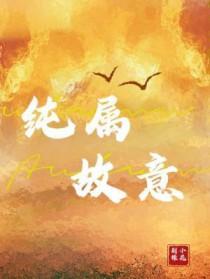 纯属故意攻是谁