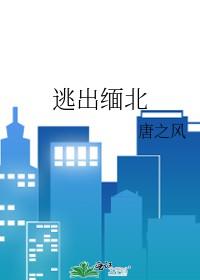 缅北有多少逃犯