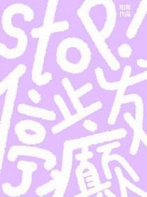 stop停止发癫by